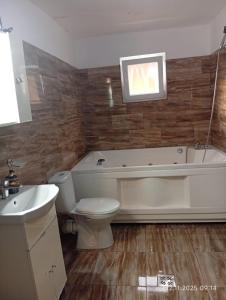 a bathroom with a tub and a toilet and a sink at Apuseni Escape in Gîrda de Sus +1 photo