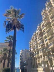een gebouw met palmbomen ervoor bij Appartement Vue Mer 75 m2 in Saint-Raphaël