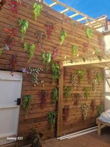 Κήπος έξω από το AfterClose le11