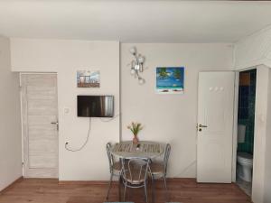 TV a/nebo společenská místnost v ubytování Świerkówka Stronie Śląskie