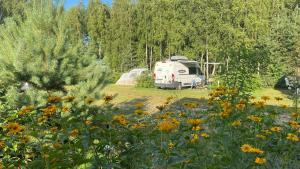 a campsite with a camper and a field of flowers at Kemping przy Suntago in Lublinów +6 photos