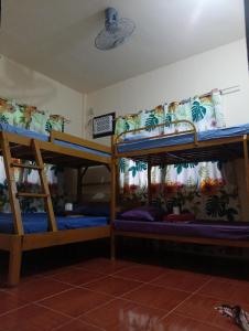 a group of bunk beds in a room at Cabugao Bed & Breakfast and Dorm in El Nido