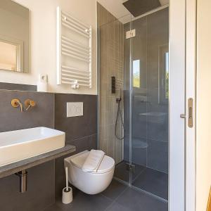 a bathroom with a shower and a toilet and a sink at Hotel garni Königslinde - Wandern, Radeln, Skifahren & Genießen in Bayrischzell
