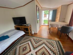 Μια τηλεόραση ή/και κέντρο ψυχαγωγίας στο Gemütliches Blockhaus fußläufig zur Messe