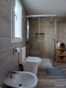 ein Badezimmer mit Toilette, Waschbecken und Dusche in der Unterkunft Casa Remo - Motril in Motril