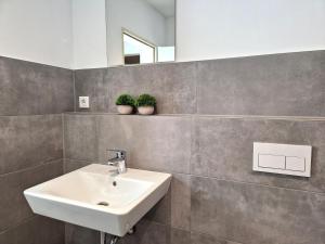 een badkamer met een wastafel en 2 potplanten bij Meribu D99 Wohnung für Monteure und Arbeiter in Gelsenkirchen +16 foto's