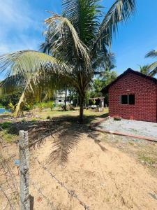 MalpeSiilver Sands Hutt Homestay - Malpe Beach的红砖建筑旁有一棵棕榈树 更多46张照片