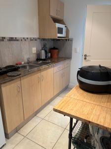 a kitchen with a large black object on a table at Hill Top Guesthouse in Plettenberg Bay