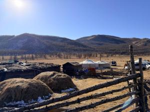 OngonNomadic home stay的田野里有一道围栏，上面堆放着干草和帐篷。