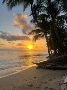 Φυσικό τοπίο κοντά σε αυτή η βίλα