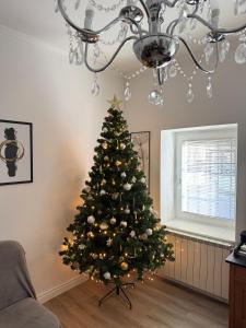 博维茨Belavita的客厅里的圣诞树,带有吊灯