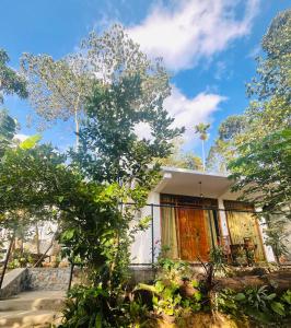 ein Haus mitten im Wald in der Unterkunft The Bliss Ella in Ella