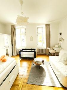 ein Wohnzimmer mit einem Bett und einer Couch in der Unterkunft Charmante, ruhige Wohnung im Herzen der Altstadt von Heidelberg in Heidelberg + 19 Fotos