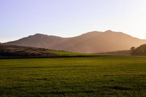 Φυσικό τοπίο κοντά σε αυτό το ξενοδοχείο
