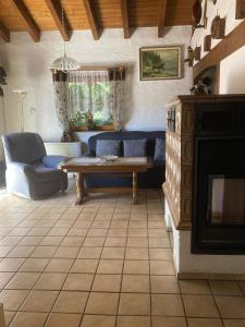 Ferienhaus am Heuberg的带沙发和壁炉的客厅