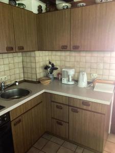 Ferienhaus am Heuberg的带水槽和台面的厨房