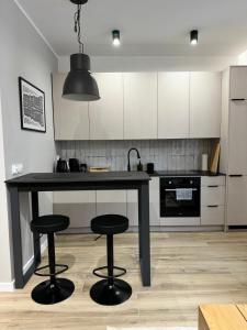 Η κουζίνα ή μικρή κουζίνα στο SILESIAN LOFT Apartment