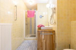 un bagno con lavandino e doccia di Belgian Ardennes Your luxurious holiday home a Xhignesse Altre 79 foto