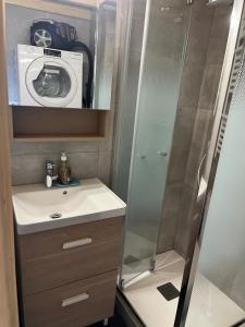 a bathroom with a sink and a washing machine at Cozy Lac - Puyvalador in Puyvalador +13 photos