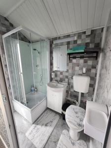 un bagno con doccia, WC e lavandino di Casa Edimar a Sboghiţeşti