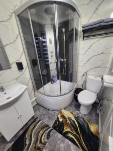 a bathroom with a shower and a toilet and a sink at Casa Edimar in Sboghiţeşti +15 photos