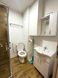 a bathroom with a toilet and a sink at I&I Bubanj in Kragujevac