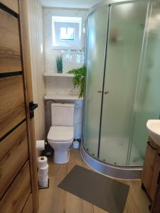 a small bathroom with a toilet and a shower at Domki Rekreacyjne "Błękitne Wzgórze" in Żałe
