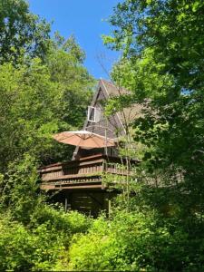 a house with an umbrella in the middle of trees at Chalet Séquoia 140, nature, piscine,dogfriendly in Durbuy