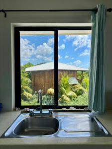 波波约Stella Mar Oceanfront Hotel的窗户前的厨房水槽