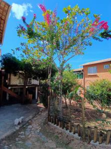 圣安娜杜里亚舒Casa Frida 400m do centro - Serra do Cipo的建筑物前的一棵开着粉色花朵的树 更多4张照片