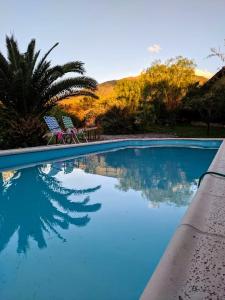 una piscina con dos sillas y una palmera en Cabañas Atardeceres, en Capilla del Monte