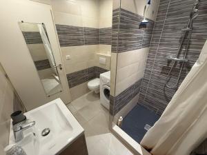 a bathroom with a shower and a toilet and a sink at Studio cozy à Lagnieu in Lagnieu