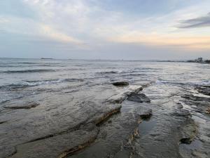 Gallery image of A Modern Studio for Larnaca Central Stay in Larnaka +2 photos