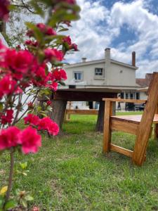 蒙得维的亚Platinum House Carrasco的鲜花屋前的木凳