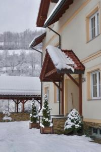 ein Haus mit Schnee drauf in der Unterkunft Apartamenty Agroturystyczne Papiernia in Niedźwiedź