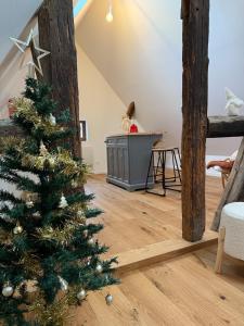 Φωτογραφία από το άλμπουμ του Renovated Alsatian house Maison Théless σε Niederhergheim +18 φωτογραφίες