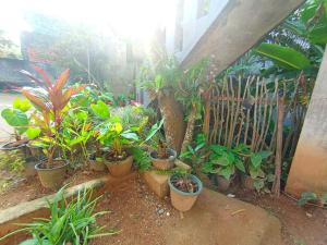 Un jardín fuera de Allan Guest Mirissa