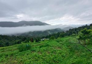 DwārāhātPanchavati Hills Homestay的田野云的山景