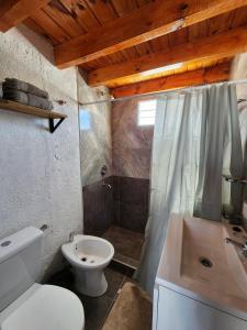 een badkamer met toilet, douche en wastafel bij Complejo Altavista in La Falda +18 foto's