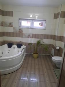 ein Badezimmer mit Badewanne und Toilette in der Unterkunft MihaiResidence in Craiova