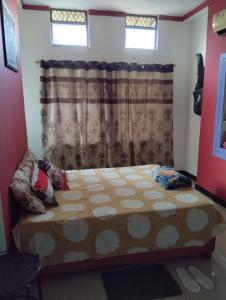 a small bedroom with a bed with a curtain at Veena Vihar in Jodhpur