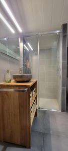 a bathroom with a sink and a shower at Chambres cosy au hameau de St Pierre in Saint-Georges-de-Commiers