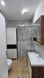 O baie la Apartman Vrabac