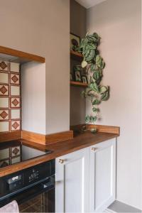 une cuisine avec des armoires blanches et une usine sur le comptoir dans l'établissement Number 86, à Marlborough