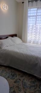 une chambre avec un grand lit avec une fenêtre dans l'établissement BlueByMis, à Muchatha