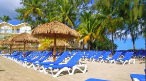 a row of blue chairs and umbrellas on a beach at studio hôtel Caraypu in Lazaret