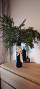 Apartmán 4, Pstruží, Krušné hory في Merklín: مزهرية عليها شجرة عيد الميلاد فوق طاولة