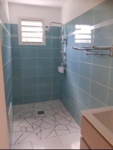 Koupelna v ubytování Villa KREOLITA T2 + 8 fotografií