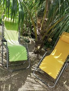 Zahrada ubytování Villa KREOLITA T2