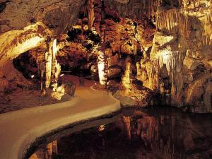 Φωτογραφία από το άλμπουμ του Sea Life Souvenirs & Tours σε Willemstad